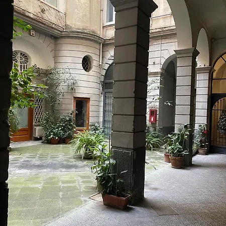 Del Plebiscito
